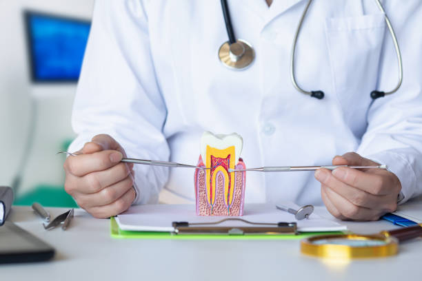 Best Emergency Tooth Extraction in Waynesboro, MS